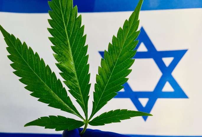 Real Weed Flower Bracelet: Cannabis Nug Clear Resin -  Israel