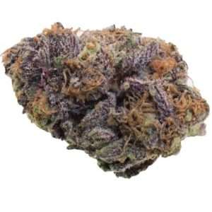 Buy Grand Dady Purple Cannabis Online Israelקנו גראנד דדי סגול קנאביס אונליין בישראלbuyweedonlineisrael.com