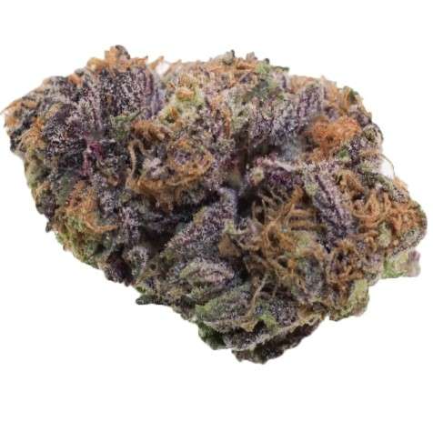 Buy Grand Dady Purple Cannabis Online Israelקנו גראנד דדי סגול קנאביס אונליין בישראלbuyweedonlineisrael.com