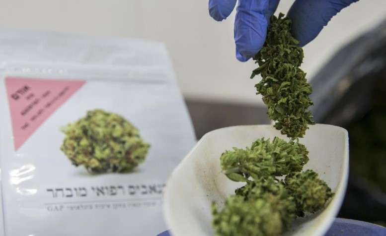buy weed israel