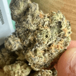 How much should I pay for weed in Israel?, weed premium Israel, where to get weed in israel?